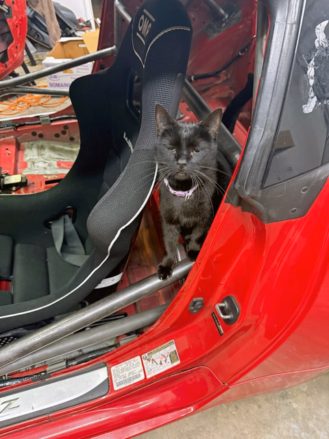 The team's pit cat at the track with the 2011 Nissan 370Z